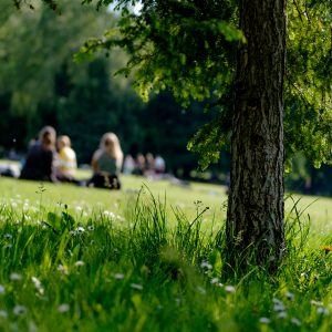 Piknik Straży Miejskiej „Zdrowo-rowerowo”